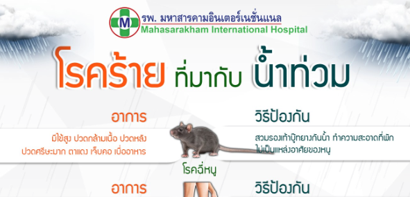 โรคร้ายที่มากับน้ำท่วม